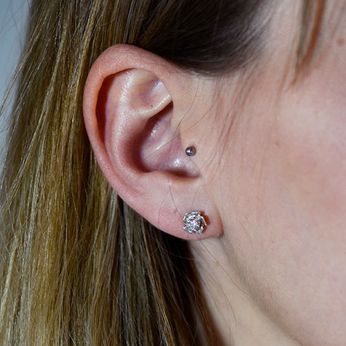 18551-sterling-silver-and-diamond-rose-inspired-stud-earrings_3.jpg