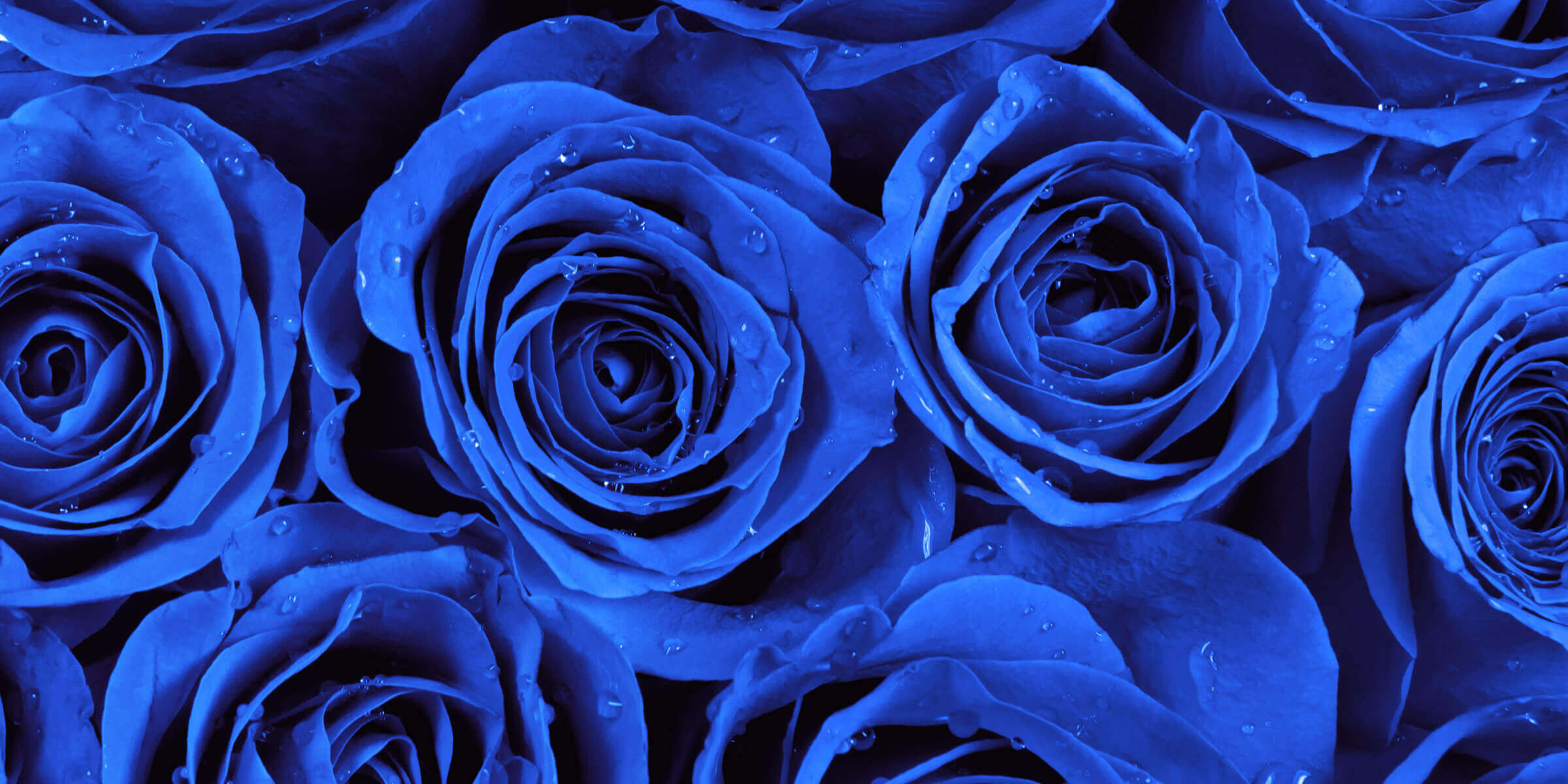 Elaines blue rose inspired engagment ring